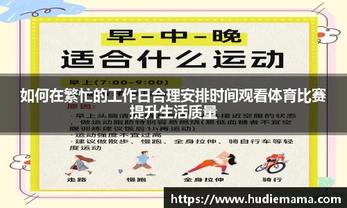 如何在繁忙的工作日合理安排时间观看体育比赛提升生活质量