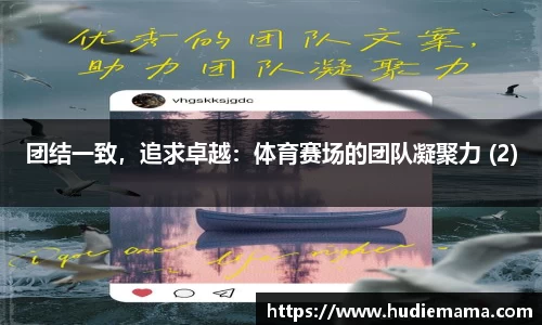 团结一致，追求卓越：体育赛场的团队凝聚力 (2)