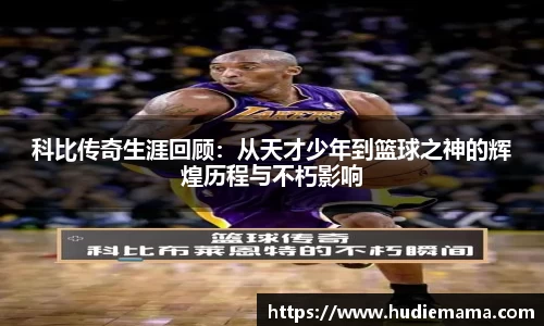 德信体育官方网站