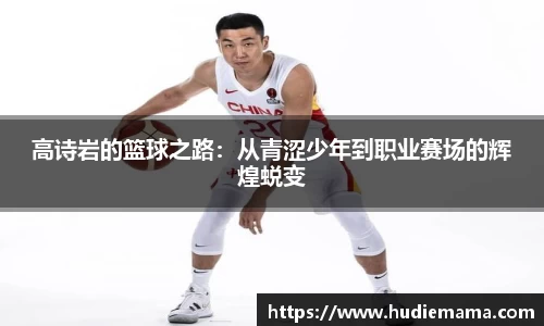 德信体育官方网站